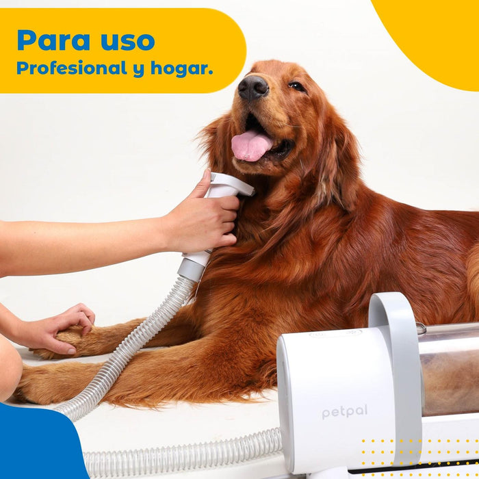 JPG_1500x1500_62809729