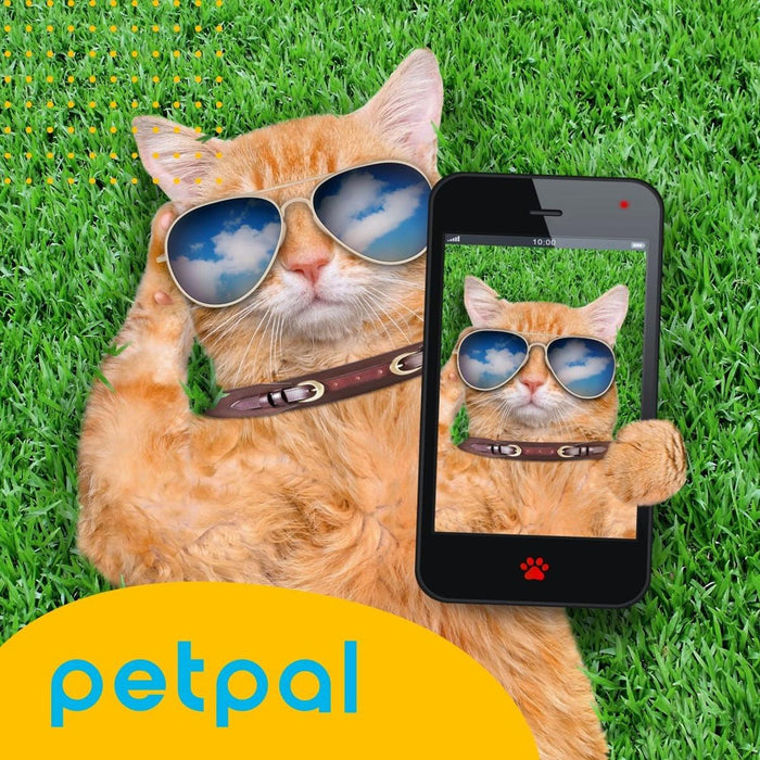 jpg_1500x1500_54527555