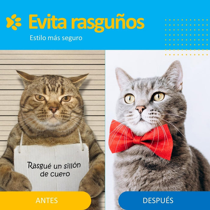 jpg_1500x1500_54527554