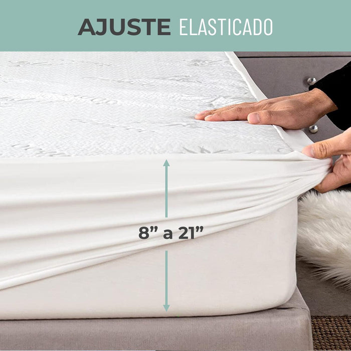 jpg_1500x1500_54528359