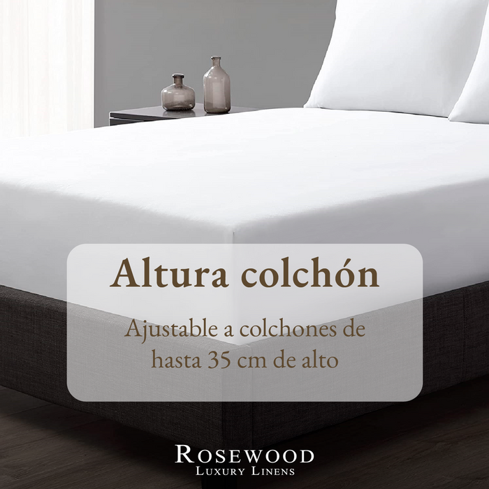 png_1500x1500_65165035